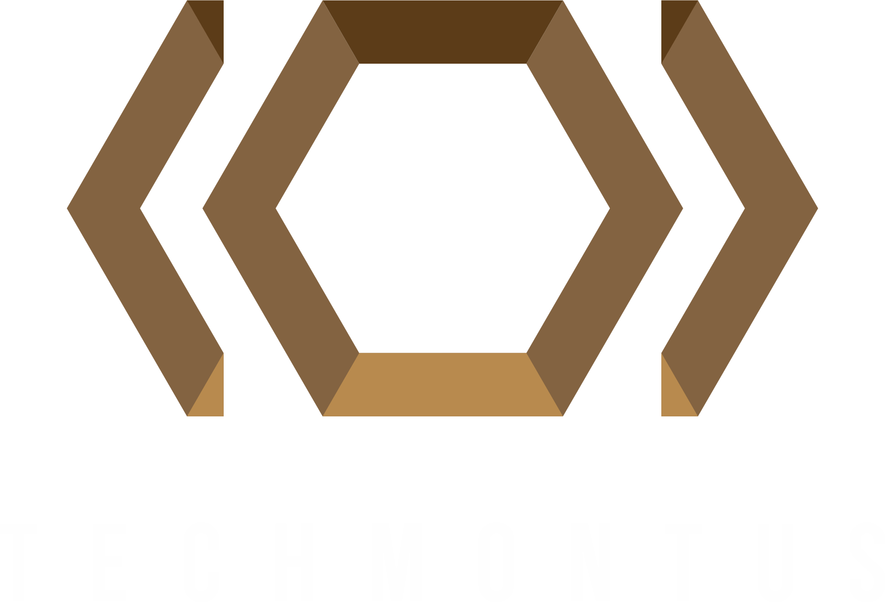 Techmontus
